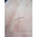 Bintangor/Red Meranti/Okoume Plywood, Commercial Plywood